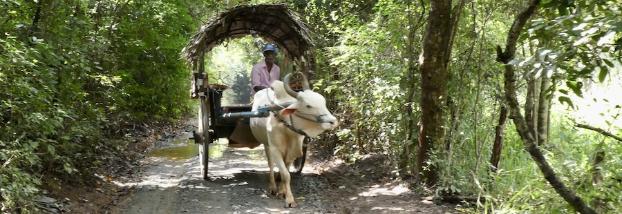 The Final Tour Part 2 – The Centre and&nbsp;South