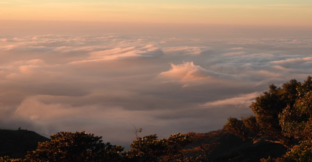 Going Alone Part&nbsp;2