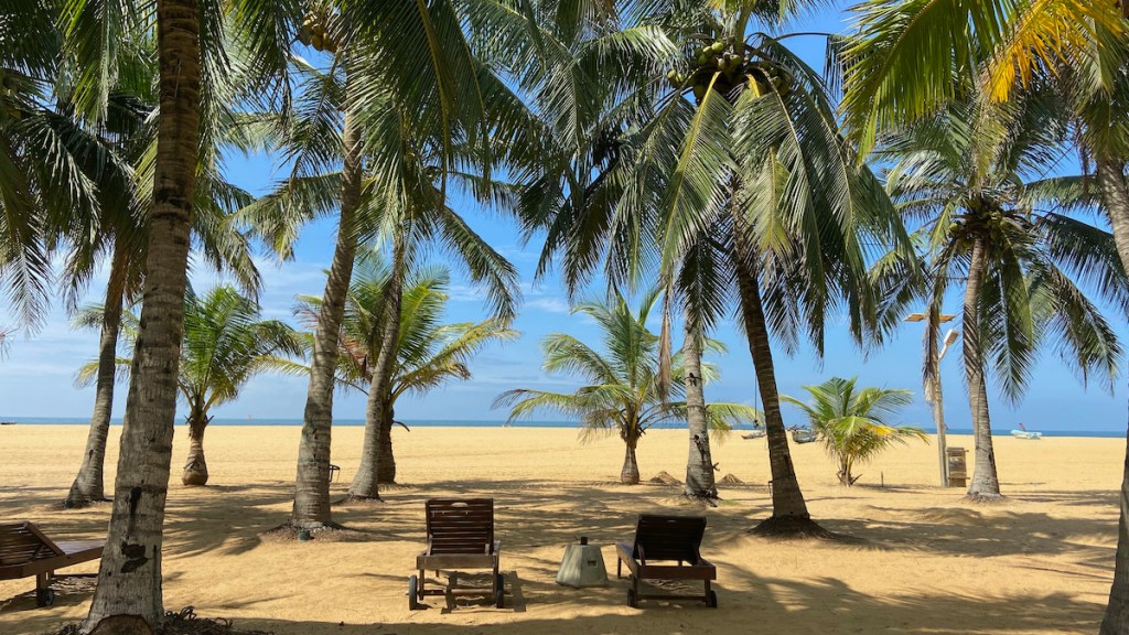 Living in Negombo in&nbsp;2020