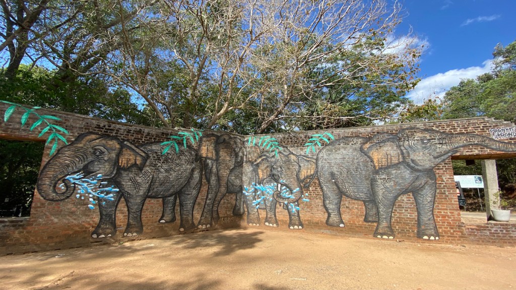 Minneriya Elephant Gathering