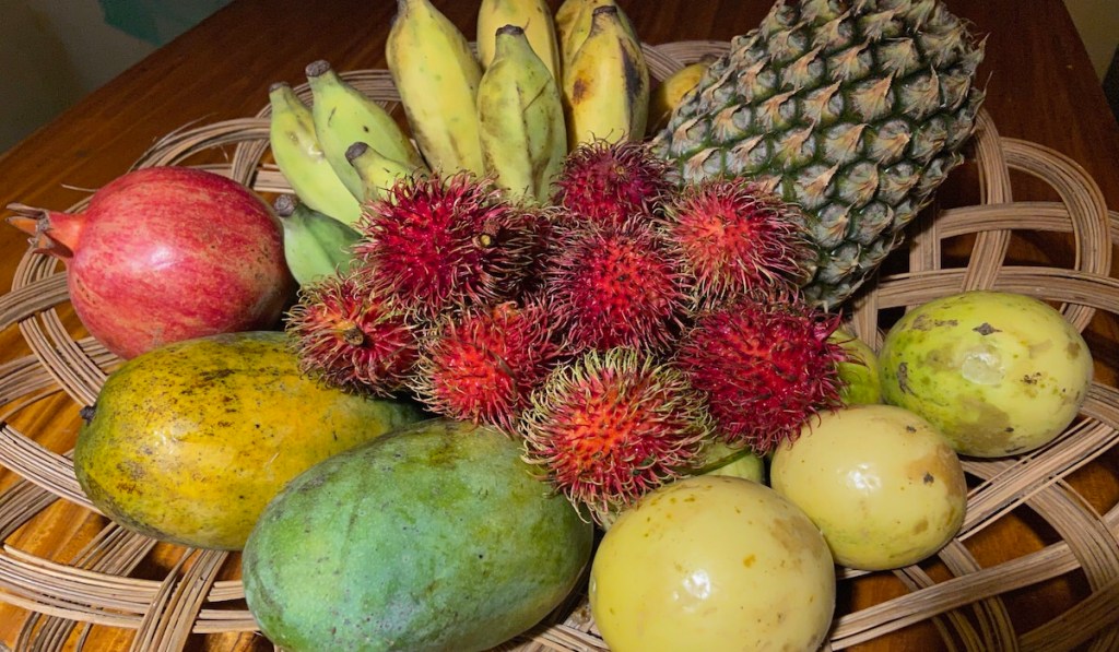 Negombo Diaries No&nbsp;3