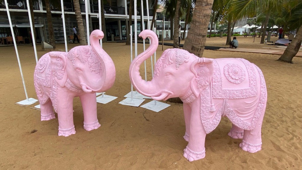 Negombo Diaries No&nbsp;6