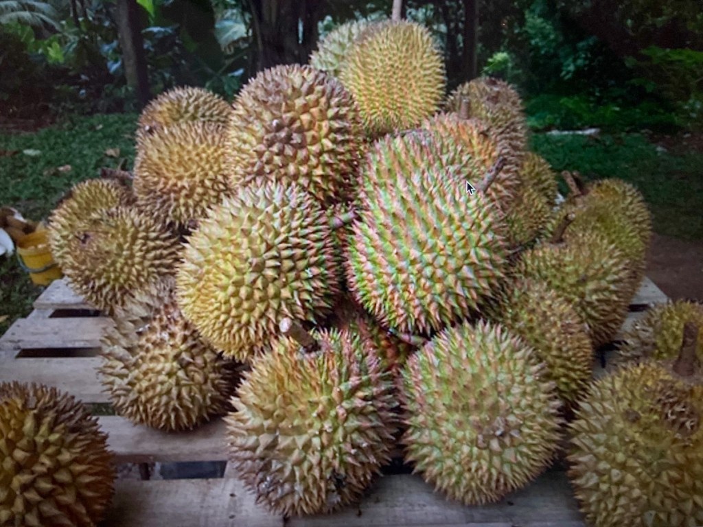 Fruit – Durian