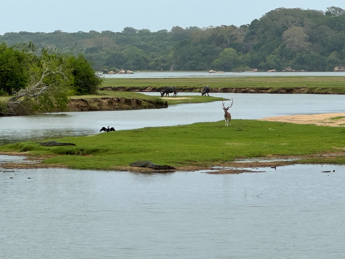 Kumana National Park